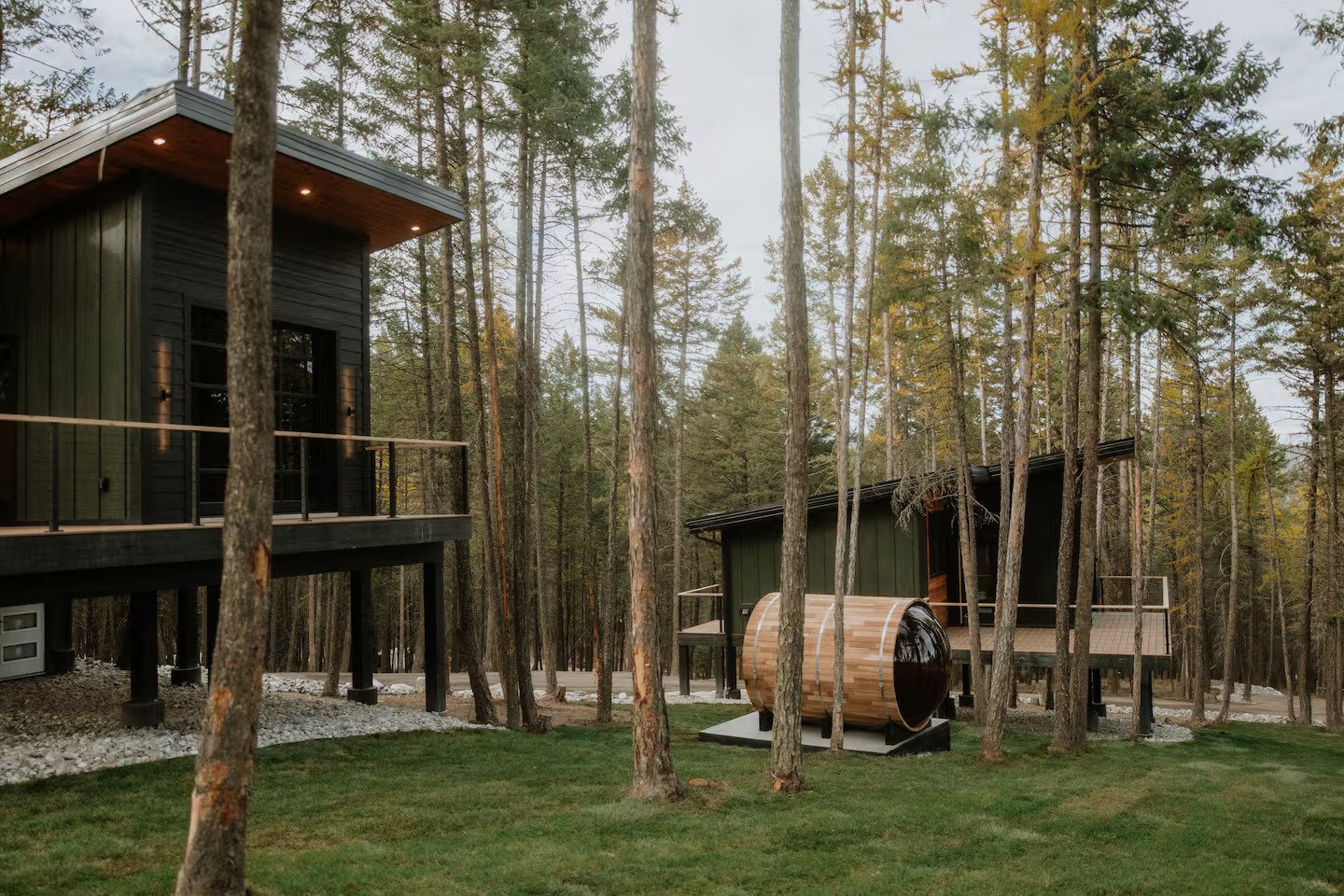 The Summit treehouse retreat perched among Montana pines