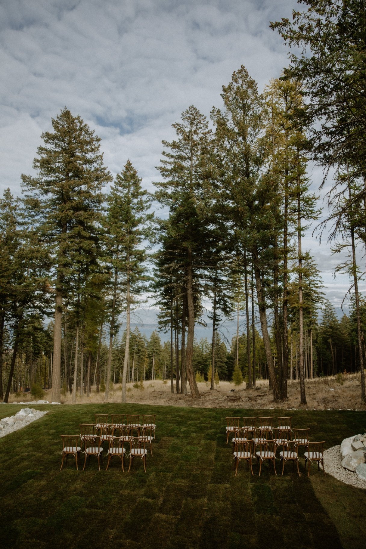 Forest ceremony setting among tall Montana pines